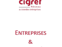 Entreprises & Culture Numérique _ CIGREF