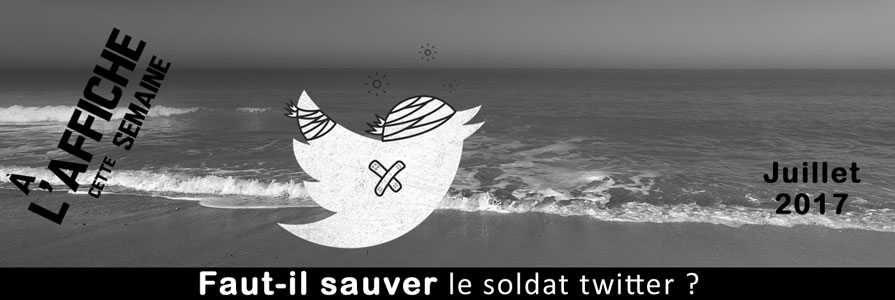 image titre article : Faut-il sauver le soldat Twitter ?