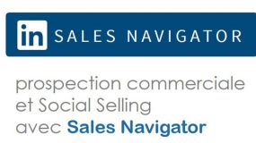 formation Linkedin Sales Navigator