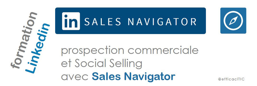 formation Linkedin Sales Navigator